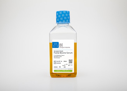 foetal bovine serum (fbs) s.amerıcan grade  500ml 