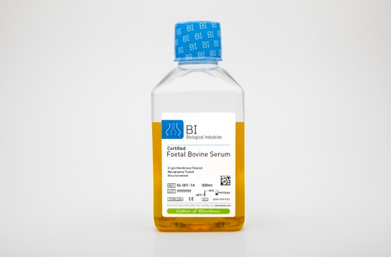 foetal bovıne serum (fbs) heat ınactıvated -  s.amerıcan grade 100ml