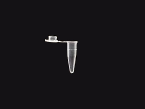 Eppendorf Tüpü 0.2 Ml, Düz Kapaklı, Dnase-Rnase Free, Pp